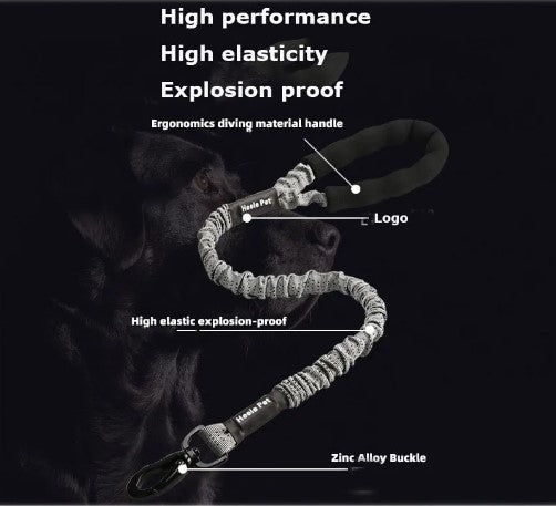 Corde élastique de contrôle de traction pour chiots puissants