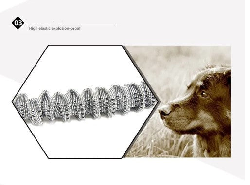 Corde élastique de contrôle de traction pour chiots puissants