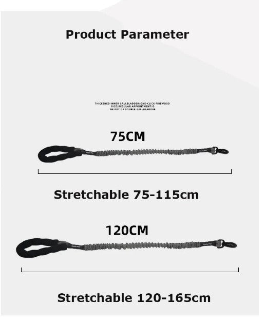 Corde élastique de contrôle de traction pour chiots puissants