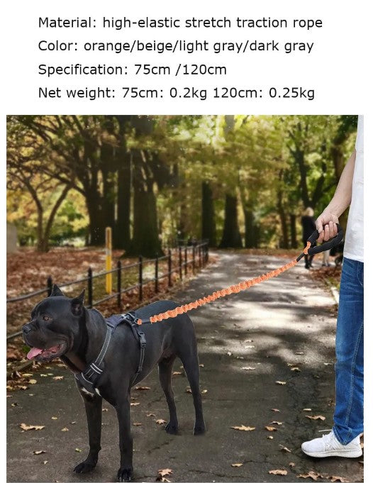 Corde élastique de contrôle de traction pour chiots puissants