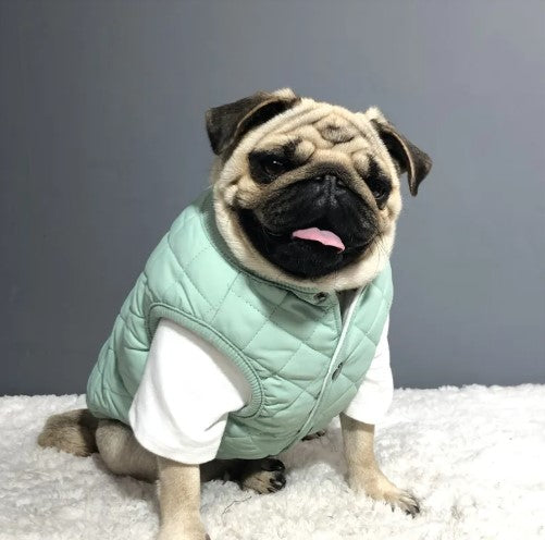 Everyday Cozy Cotton Dog Vest