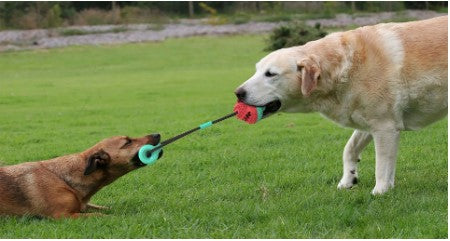 Fun Pet Rope Toy