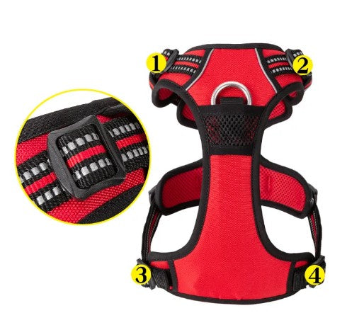 Harnais construit pour durer