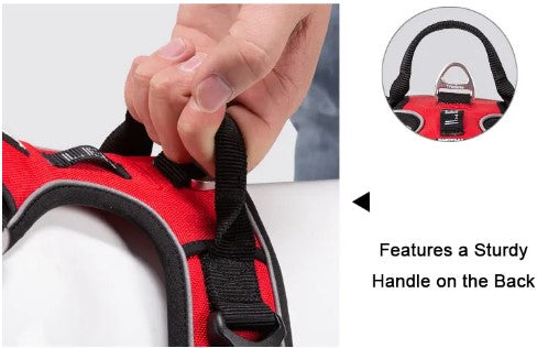 Harnais construit pour durer