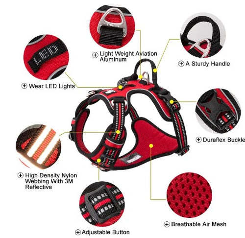 Built-to-Last Harness