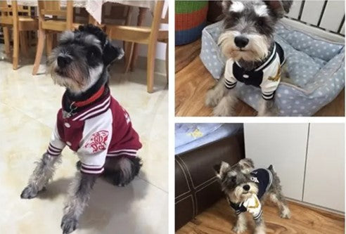University Style Pup Sweater Vest