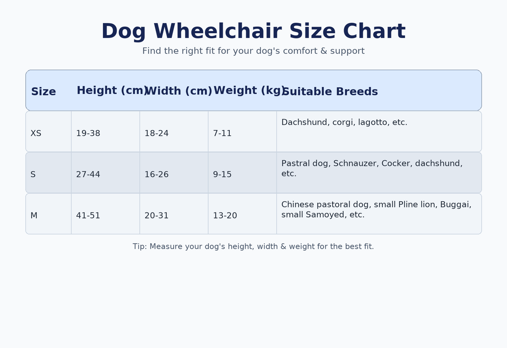 Dog Wheelchair – Support for Happy, Active Pets