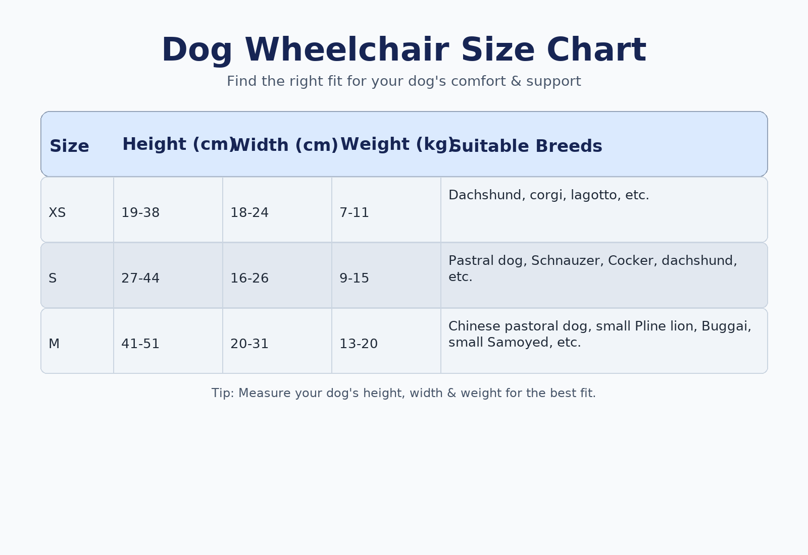 Dog Wheelchair – Support for Happy, Active Pets